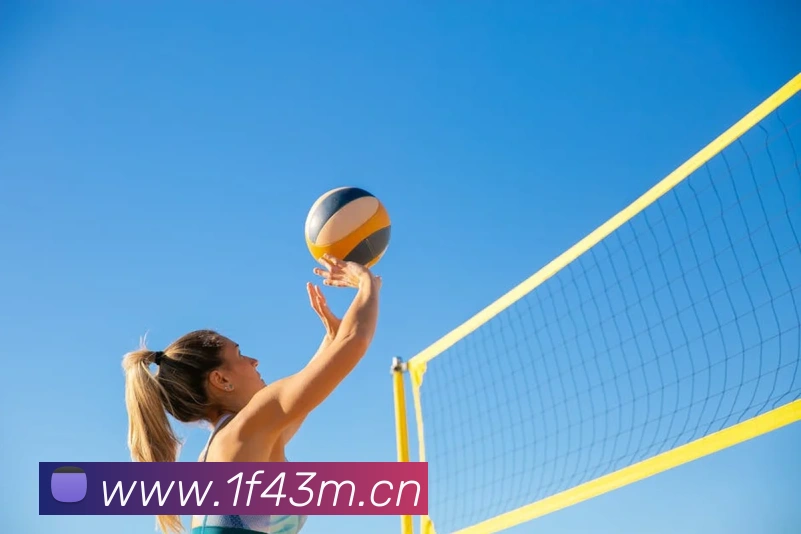 nba免费直播app服务体系